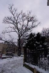 Snow covered Uhlandstrasse,  Munich