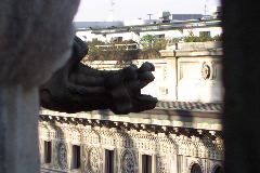 Duomo Gargoyle, Milan