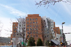 Stata Center, MIT